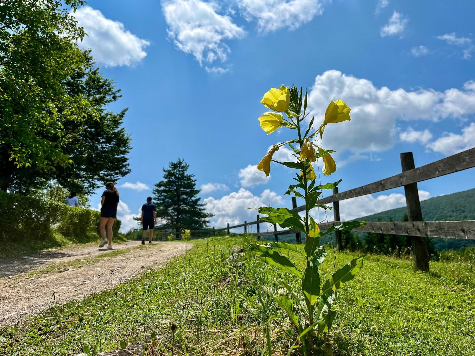 Ranch Jelov Klanac Rakovica