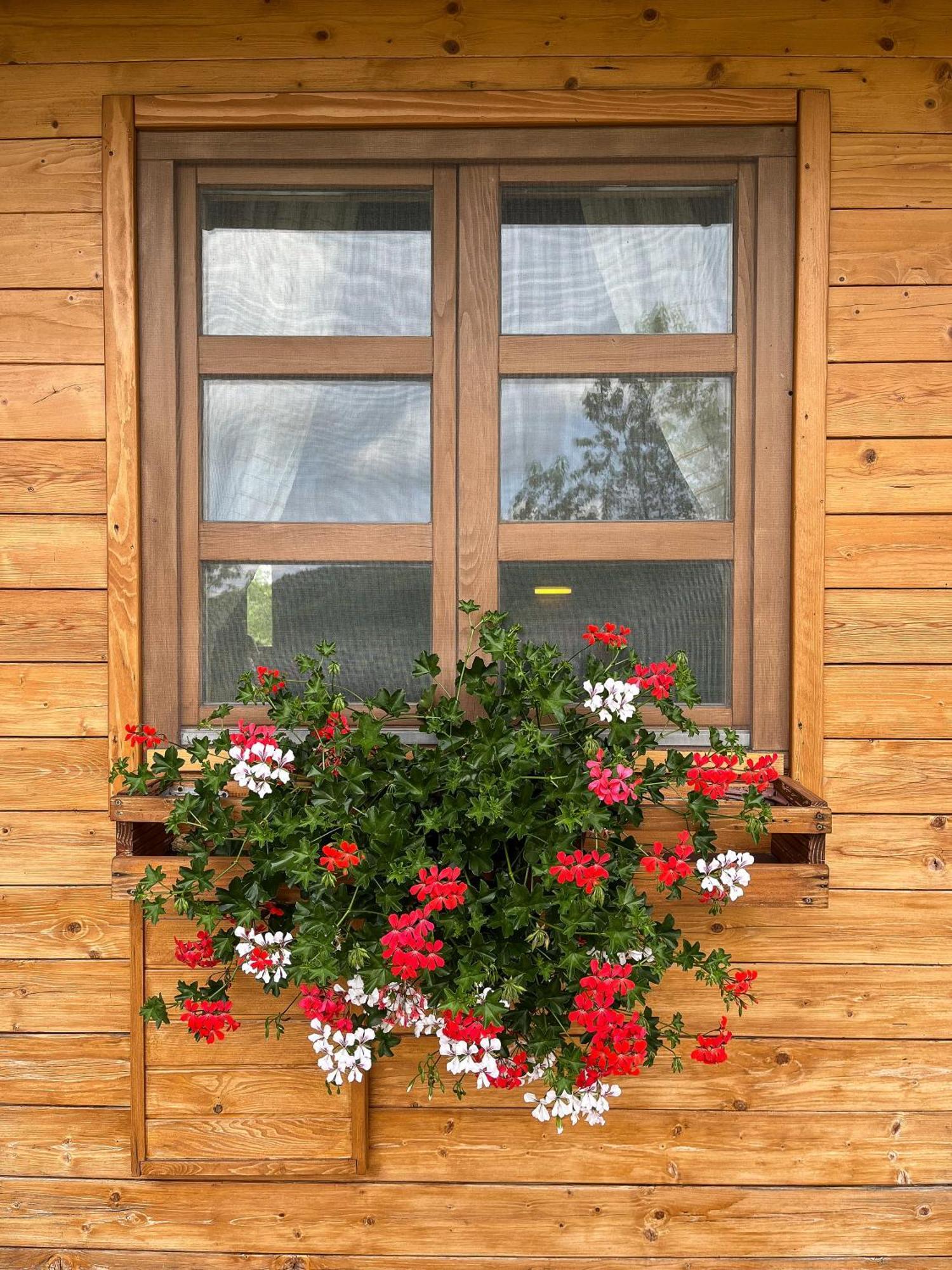 Apartment Ranch Jelov Klanac *